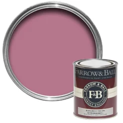 Farrow & Ball Exterior Eggshell Paint Rangwali - 750ml