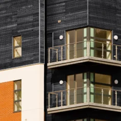 Sadolin Classic All Purpose Woodstain Ebony - 2.5L -Wood Care Store 12845195 1064955541787965