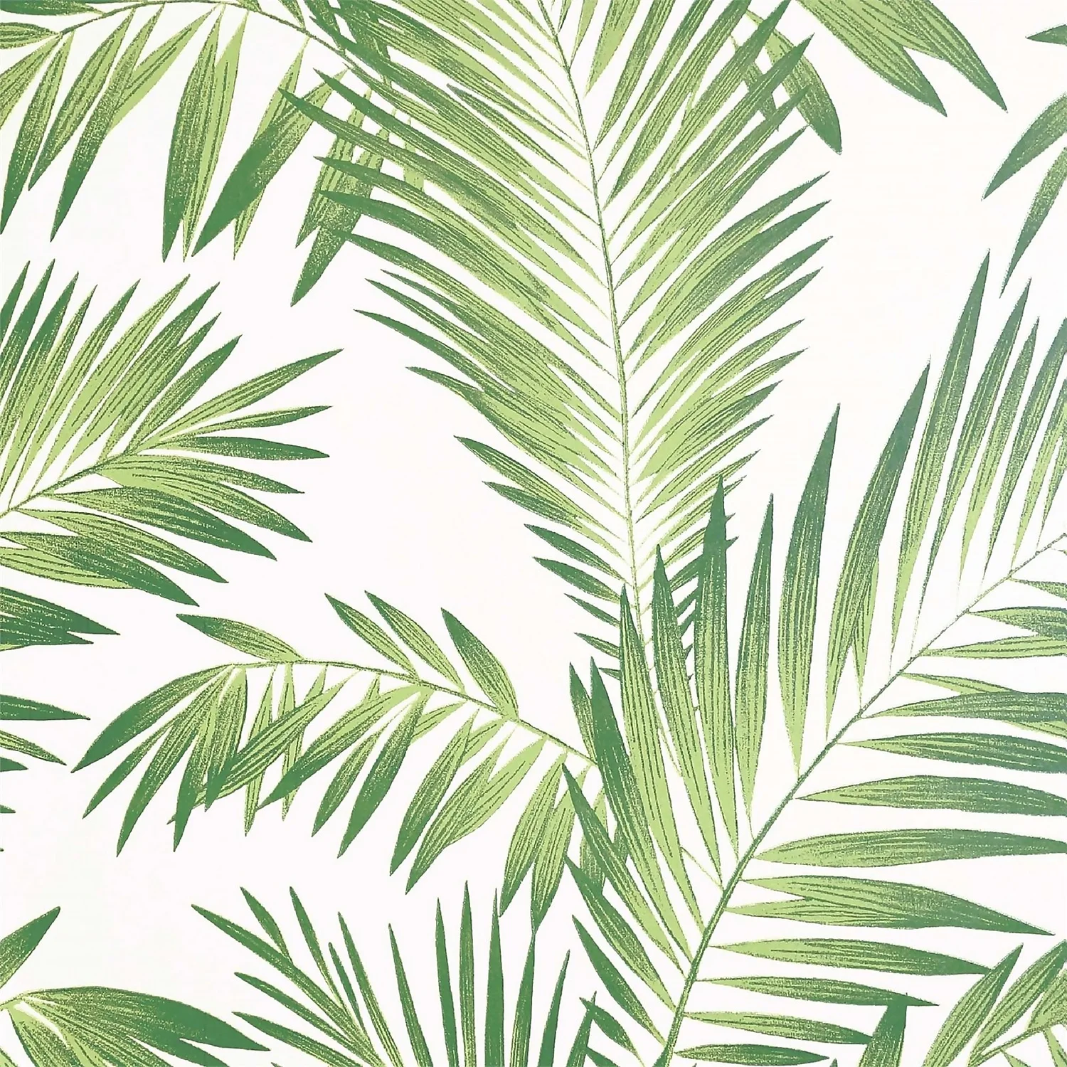 Tropical Palm Geen Artistick Wallpaper 3 Tropical Palm Geen Artistick Wallpaper