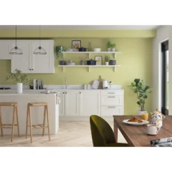 Dulux Simply Refresh Feature Wall One Coat Matt Emulsion Paint Melon Sorbet - 1.25L 19 Dulux Simply Refresh Feature Wall One Coat Matt Emulsion Paint Melon Sorbet - 1.25L -Wood Care Store 12881598 1484843868710281